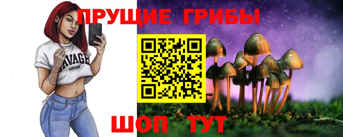 Псилоцибиновые грибы Cubensis Краснознаменск